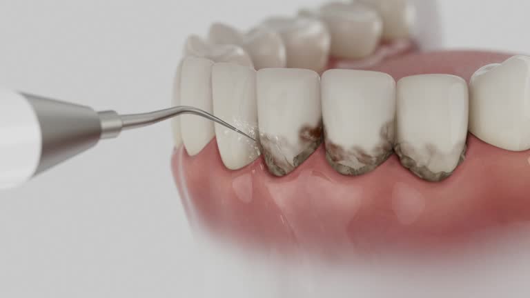 Reliable Dental contractor in Perry County County, AL by Dentist Open Now